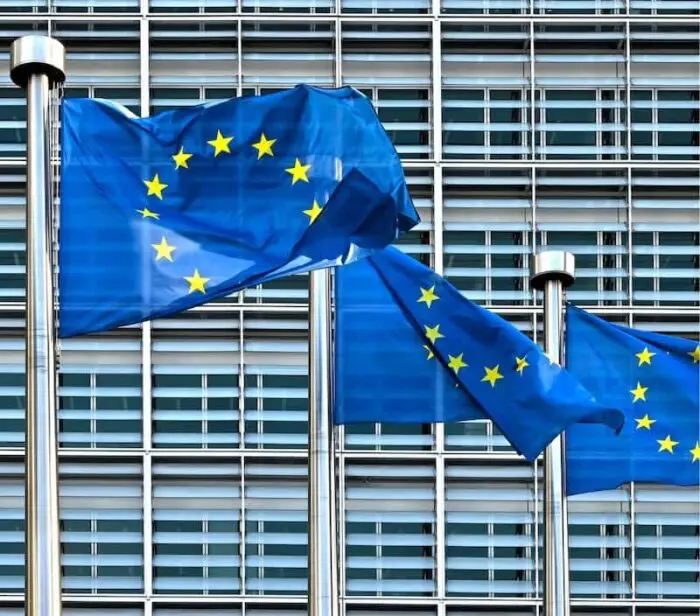 EU flags
