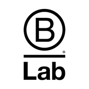 B Lab Global logo